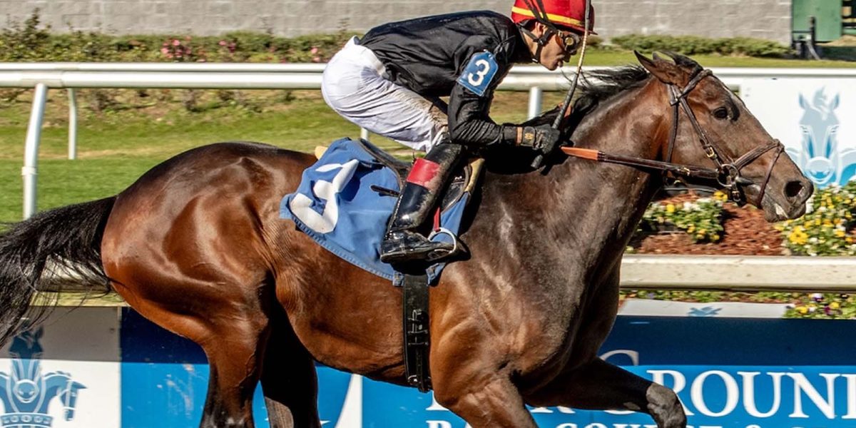Golden Tempo gives Cherie DeVaux her first Derby starter