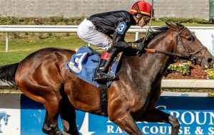 Golden Tempo gives Cherie DeVaux her first Derby starter