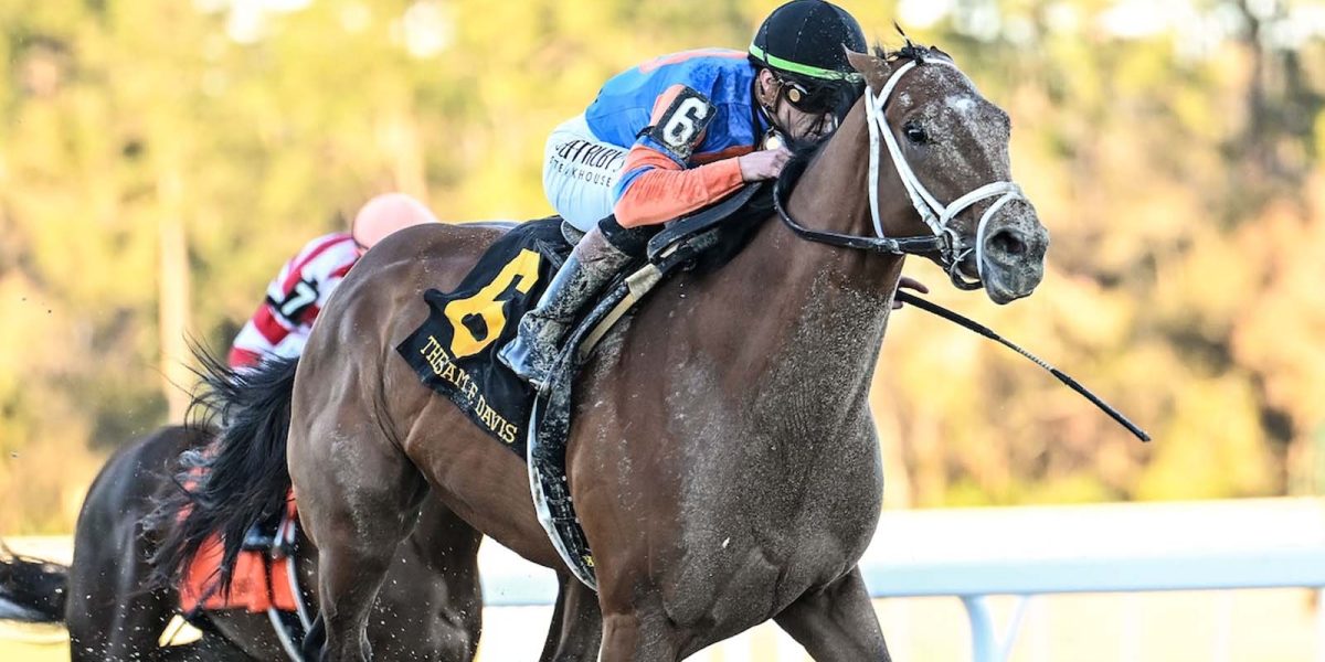 How to Bet the 2026 Kentucky Derby Around Renegade's Rail