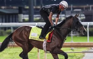 What the Silent Tactic Scratch Means for Your 2026 Kentucky Derby Tickets