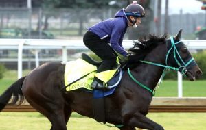 Why Danon Bourbon Is the Most Interesting Longshot in the 2026 Kentucky Derby